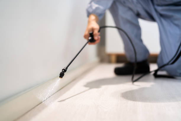 Licensed Rodent Control service in Union Hall, VA - Nex Pest Control