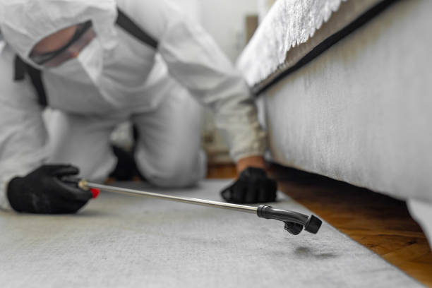 Professional Rodent Control technician working in Union Hall, VA