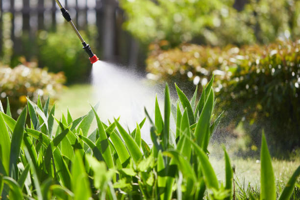 24/7 Emergency Rodent Control experts in Union Hall, VA