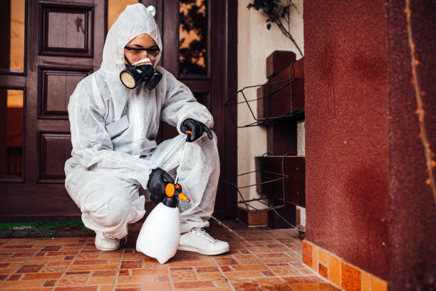 Reliable Rodent Control contractor in Union Hall, VA by Nex Pest Control