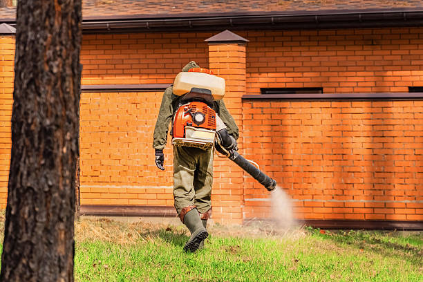 Trusted Cockroach Control service in Union Hall, VA - Nex Pest Control